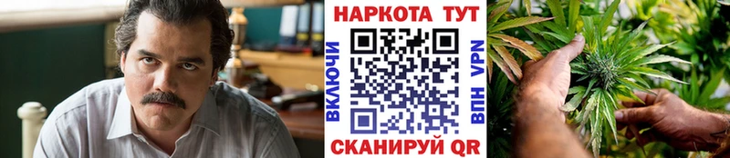 МЕФ Череповец