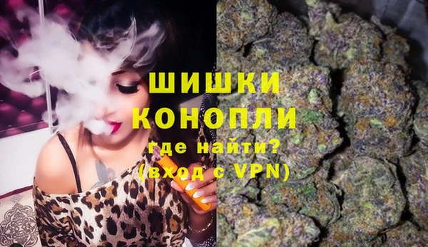 соль ск Надым