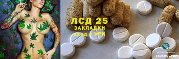 соль ск Надым